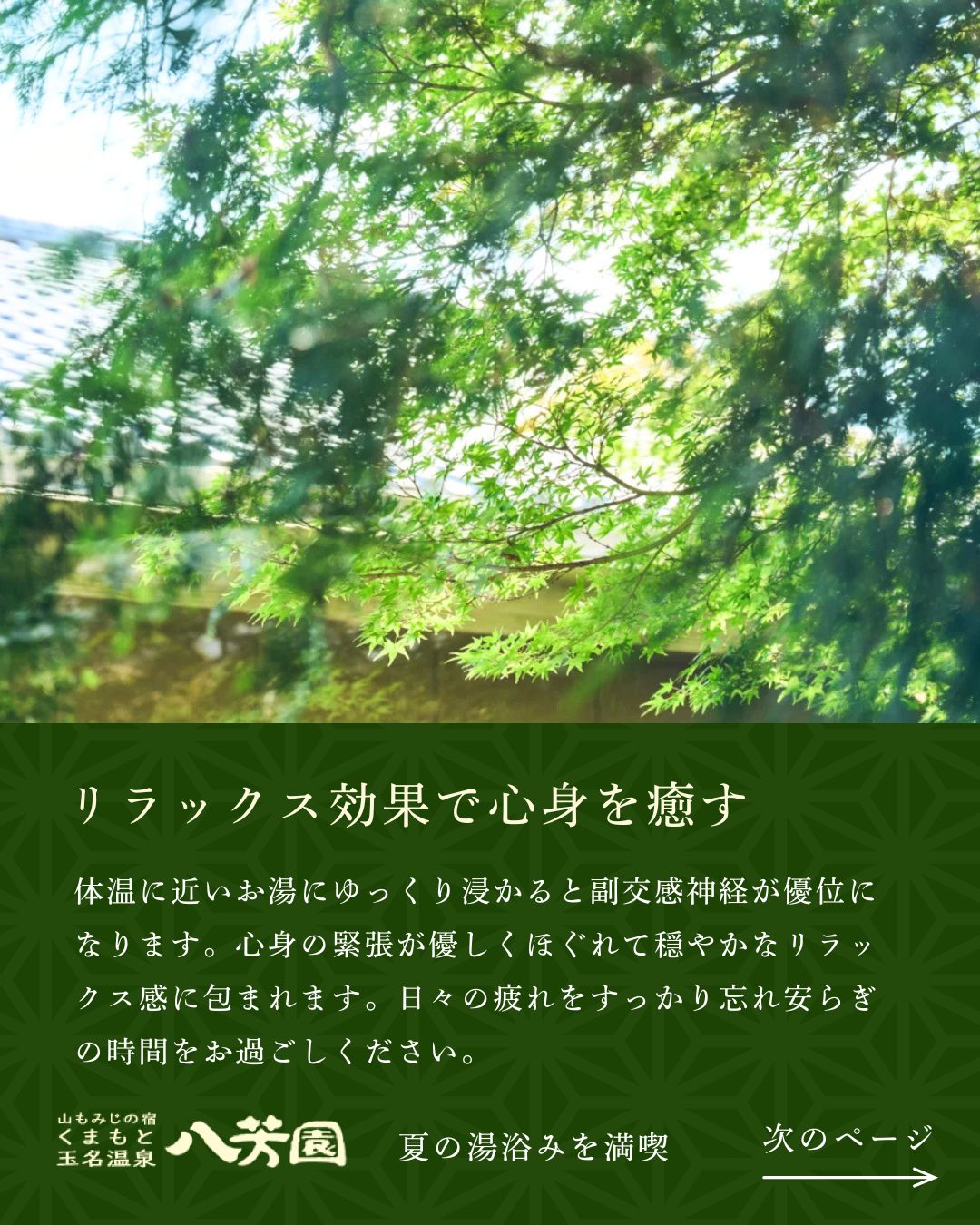 施設の魅力を伝える投稿